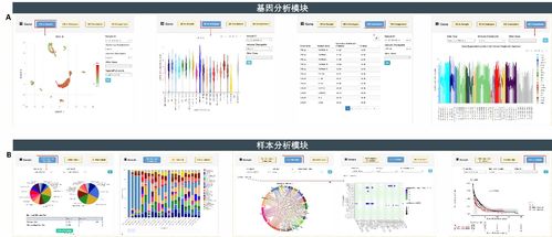癌癥單細(xì)胞表達(dá)圖譜數(shù)據(jù)庫(kù)CancerSCEM的發(fā)布與數(shù)據(jù)處理流程解析