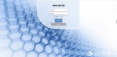 基于SpringBoot與微信小程序的寵物門店綜合服務平臺設計與實現